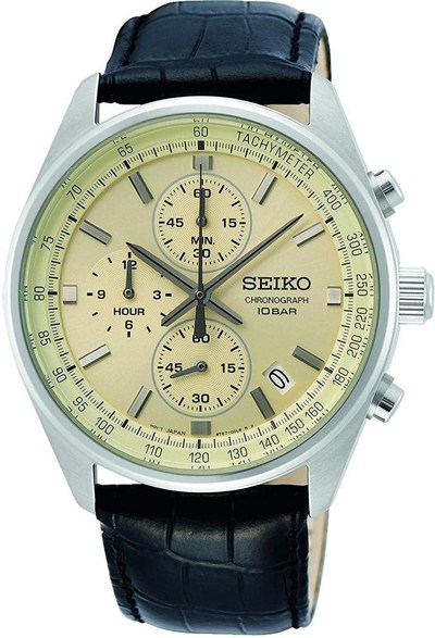 Seiko Erkek Saati Kuvars Paslanmaz Çelik Deri Kayışlı