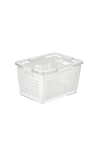 Selka Home - Lavin 4 Litre Açık Gri Saklama Kabı