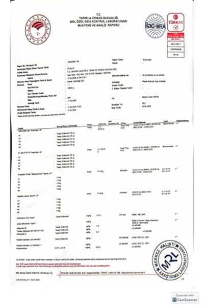SELKUR Kabak Çekirdeği Içi 1kg(ÇİĞ, TUZSUZ)