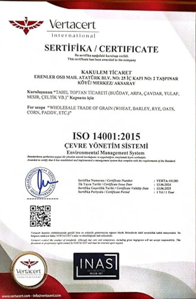 Sertifikalı Katkısız Çiğ Kabak Çekirdeği İçi (500 GR)