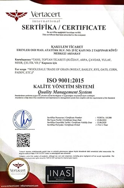 Sertifikalı Katkısız Çiğ Kabak Çekirdeği İçi (500 GR)