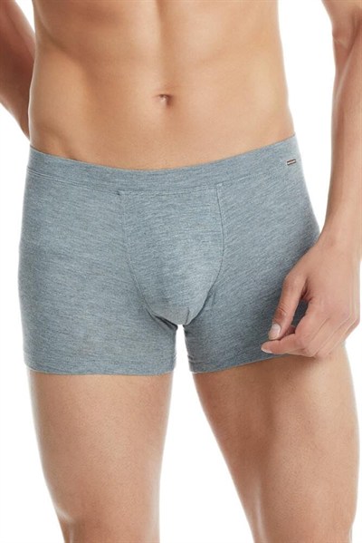 Silver Gri Boxer C0T1N3O9