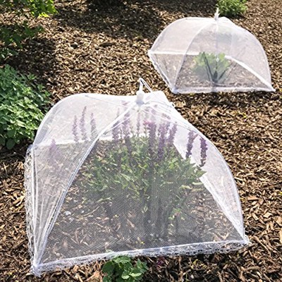 Simply Genius Pop-Up Mesh Gıda Örtüsü Çadır - 43 x 43 cm, Beyaz, 3lü Paket, Kompakt - Kamp Temelleri ve Piknik Yiyecek Örtüleri - Açık Hava Partisi Temelleri