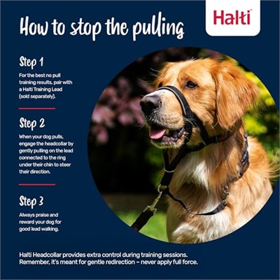 Şirket Hayvanlarının Halti Köpek Halter, Boyut 2 (35-48 cm), Siyah - Seçenekler: 2 (2 paketi)