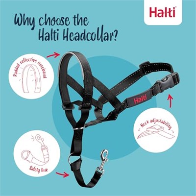 Şirket Hayvanlarının Halti Köpek Halter, Boyut 2 (35-48 cm), Siyah - Seçenekler: 2 (2 paketi)