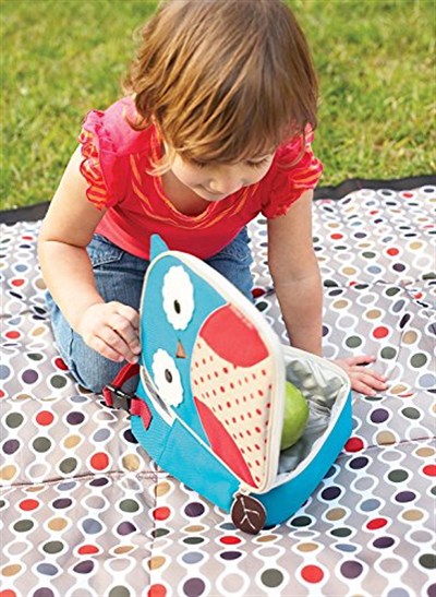 Skip Hop SKP-212104 Beslenme Çantası Baykuş, Çok Renkli