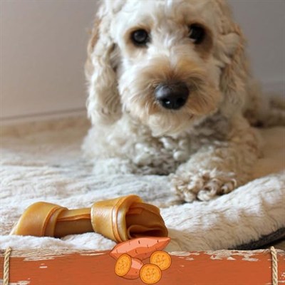 Smartbones Sweetpotato Medium Orta Boy Tatlı Patatesli Kemik 2li, 158 Gr Köpek Ödülü