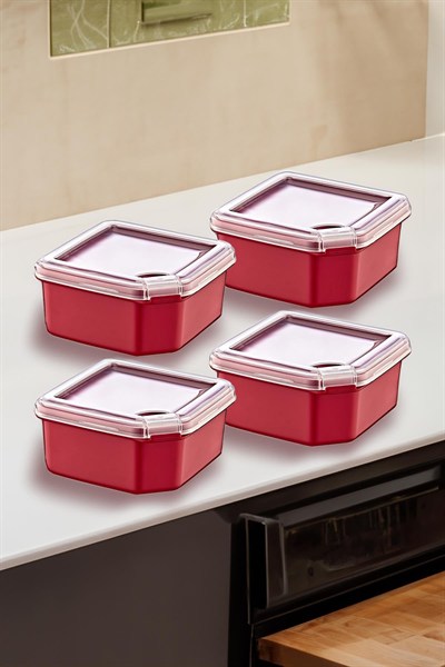 Smartware 4Lü Q-Box Saklama Kabı Carmen 350 ML