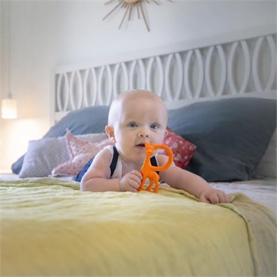 Sophie la Girafe 3056560103139 Diş Kaşıyıcı, Çok Renkli