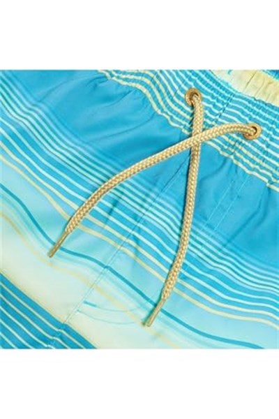 SPEEDO Lastikli Bel Normal Kalıp Şort Mayo, 5003146532
