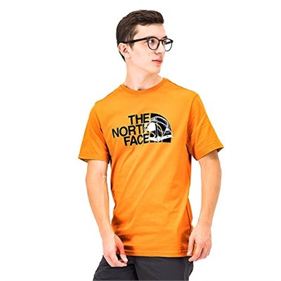 S/S Graphic Half Dome Tee Erkek T-Shirt - NF0A7R3A Sarı