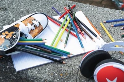 STABILO color - Kuru Boya Kalemi - 12li Paket - 2 Neon Renk Dahil Çeşitli Renkler - Seçenekler: 30 stück (1er Pack)