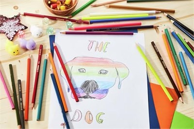 STABILO color - Kuru Boya Kalemi - 12li Paket - 2 Neon Renk Dahil Çeşitli Renkler - Seçenekler: 30 stück (1er Pack)
