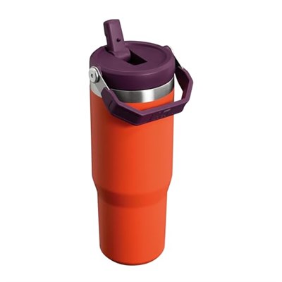 Stanley IceFlow Flip Straw Tumbler Pipetli Termos Bardak, 0.89 L