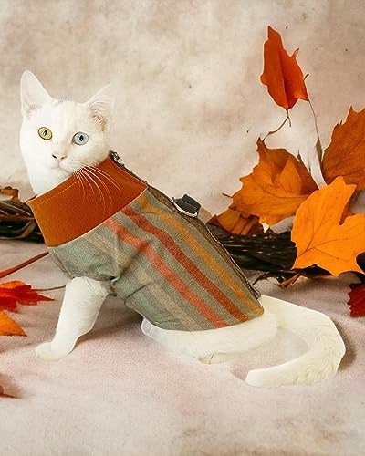 Stripe Orange Su itici Kedi Yağmurluğu L