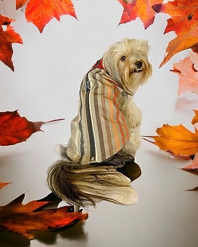 Stripe Orange Su itici Köpek Yağmurluğu XL