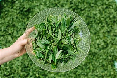 Süper Çay, 18 Piramit Poşet Çay, Erken Hasat El Yapımı Yeşil Çay, Vitamin ve Minareller ile Güçlendirilmiş, Prebiyotikli ve Kolajenli Yeşil Çay (Kolajenli Yeşil Çay)