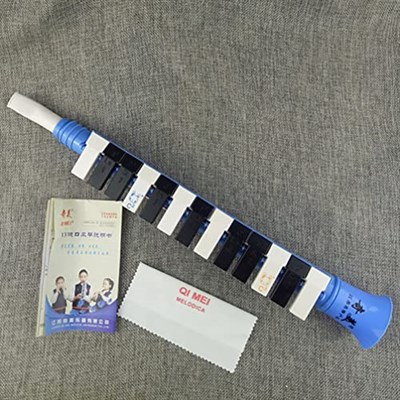 SUPVOX Ağızlık Çocuklar Yeni Başlayanlar Melodika 13 Tuşlu Melodika Için Melodika Enstrümanı 13 Tuş Müzik Aleti Keytar Yeni Başlayanlar Için Enstrüman Reçine Öğrenci Piyano Çalmak Bulmaca