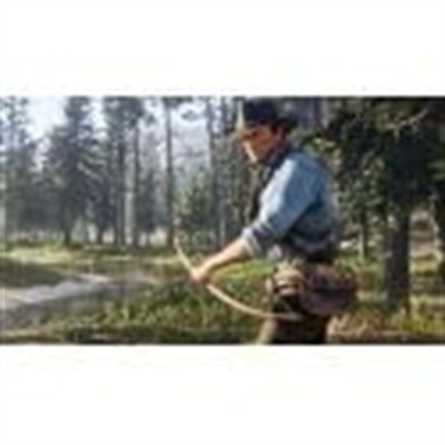 Take 2 NG JEU Rockstar Red Dead Redemption 2 PS4 konsol