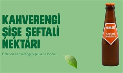 Tamek Kahverengi Şişe Şeftali Nektarı 200 cc x 6 Adet
