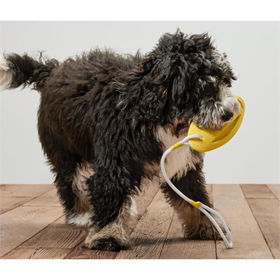 Tchibo Köpekler İçin Fırlatma Ve Su Oyuncağı