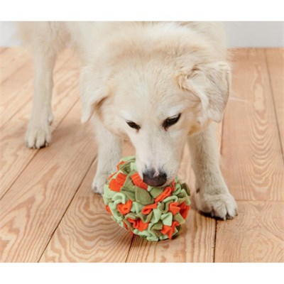 Tchibo Köpekler İçin Koklama Topu, Geri Dön. Pes