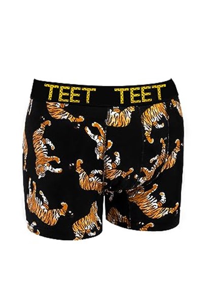 TEET Juan Raul Erkek Boxer Pamuklu Desenli 4lü Premium Set