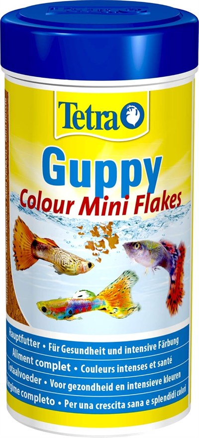Tetra Guppy Color, birinci sınıf pul gıda 250ml