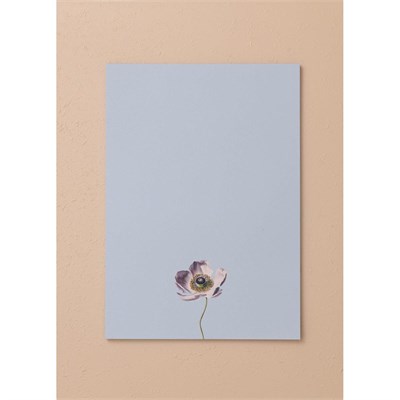 The Mia Art Line Mini Notluk Anemone 21x30 Cm 40 Yaprak