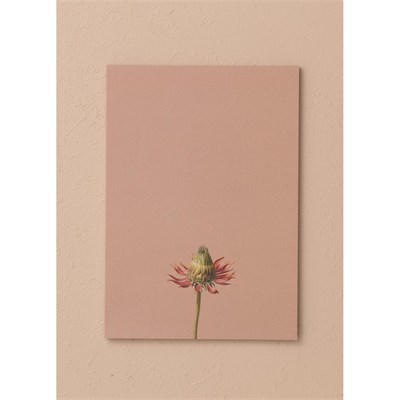 The Mia Art Line Mini Notluk Coneflower 15x21 Cm 40 Yaprak