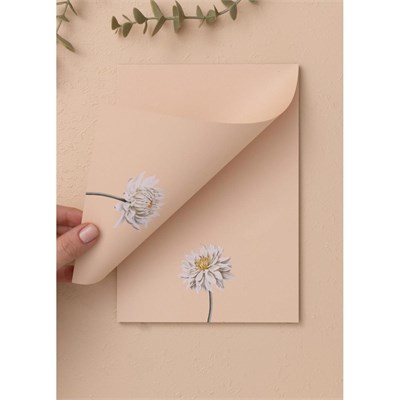 The Mia Art Line Mini Notluk Dahlia 15 X 21 Cm 40 Yaprak