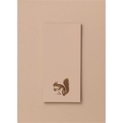 The Mia Art Line Mini Notluk Squirrel 10 X 21 Cm 40 Yaprak