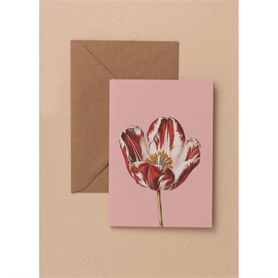 The Mia Art Line Mini Tebrik Kart Seti Tulip10 X 14 Cm