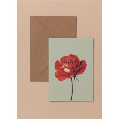 The Mia Art Line Mini Tebrik Kart Seti Rose 10 X 14 Cm
