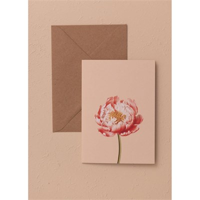 The Mia Art Line Mini Tebrik Kart Seti Peonie 10 X 14 Cm