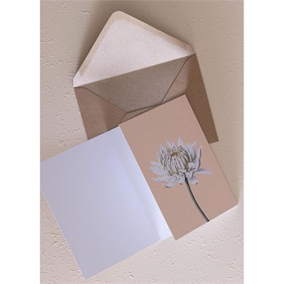 The Mia Art Line Mini Tebrik Kart Seti Dahlia 10 X 14 Cm
