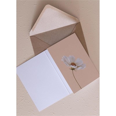 The Mia Art Line Mini Tebrik Kart Seti Cosema 10 X 14 Cm