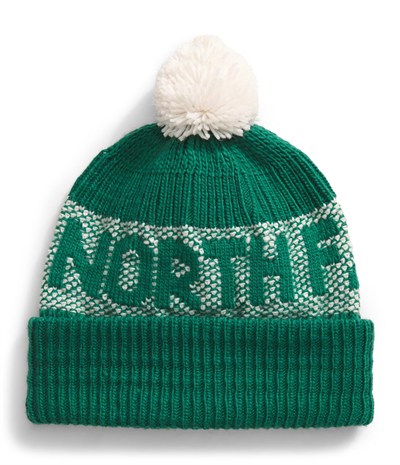 THE NORTH FACE Erkek Bere Retro Cabin