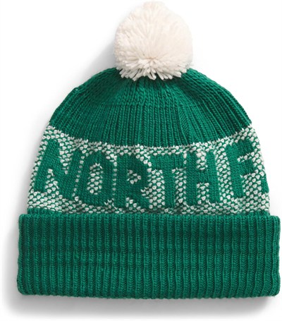 THE NORTH FACE Erkek Bere Retro Cabin