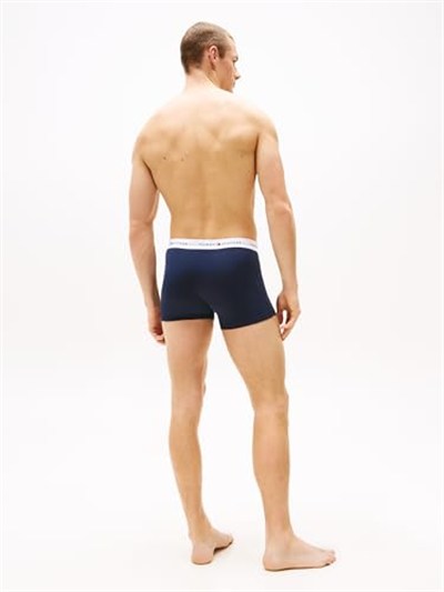 Tommy Hilfiger 3P TRUNK PRINT İç Giyim Erkek