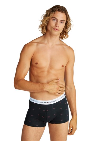 Tommy Hilfiger 3P TRUNK PRINT İç Giyim Erkek