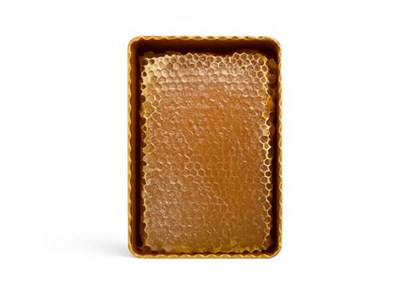 TOROS DAĞI Petekli Bal, Doğadan Gelen Natural,Katksıız Petek Balı (450, Gram)