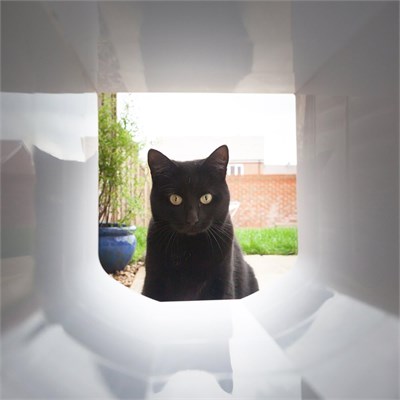 Trixie 38530 Kedi Kapısı Tunel Parçası