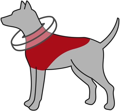 Trixie Köpek Koruyucu Şişme Yakalık Xs, Mavi - Seçenekler: XS, M-L, XXS, Medium, L-XL, Küçük Köpekler