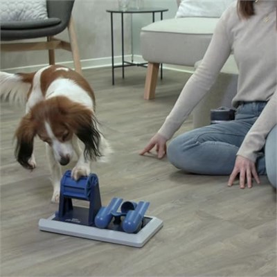 Trixie Köpek Zeka Oyuncağı İki Parçalı 32x17 cm - Seçenekler: Poker Kutusu Vario 2, Kule - Kademe 2, Etkileşimli, Bulmaca