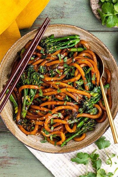 Udon Style Wheat Noodles 200 g – Kalın Buğday Eriştesi - Udon Noodles