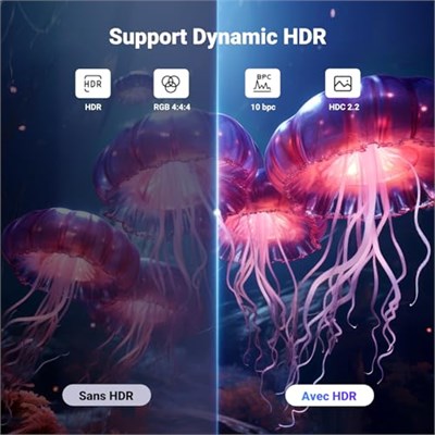 UGREEN 8K Displayport kablosu 1.4 8K 60Hz 4K 240Hz, VESA sertifikalı, PC, HDTV, monitör, grafik kartı için HDR, FreeSync, G-Sync, DSC 1.2, HDCP 2.2 ile uyumlu alüminyum DP kablosu 32,4 Gbps (3M) | 8K@