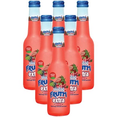 Uludağ Frutti Ekstra Orman Meyveli 6x250 Ml