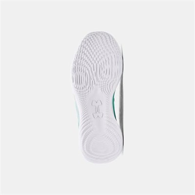 Unisex Curry 2 Low FloTro Basketbol Ayakkabısı