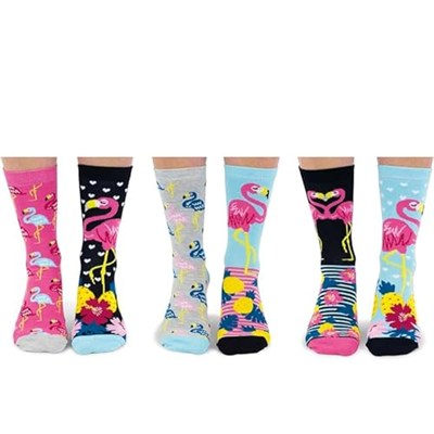 United Oddsocks Kadın Odd Go Flamingo Hediye Paketi - 6 Çorap, Çok renkli, UK 4-8 EUR 37-42 US 6.5-10.5